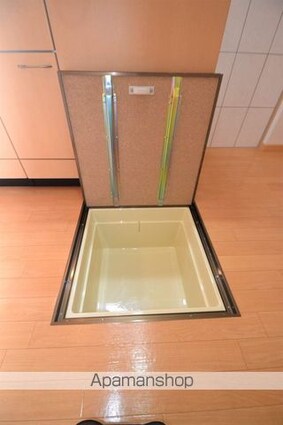 Ｇｒａｎｄｅ　Ｒｉｏ　Ⅱ[1K/30.96m2]の内装6