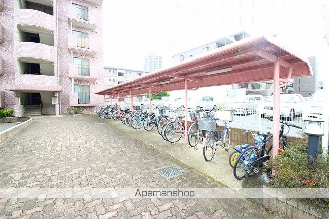 プリムローズのその他写真