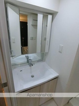 アイル　グランデ押上イースト[1LDK/41.31m2]の洗面所