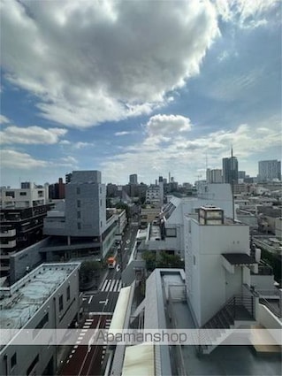 ライオンズマンション南青山シドニービル[1R/20.78m2]の共用部2