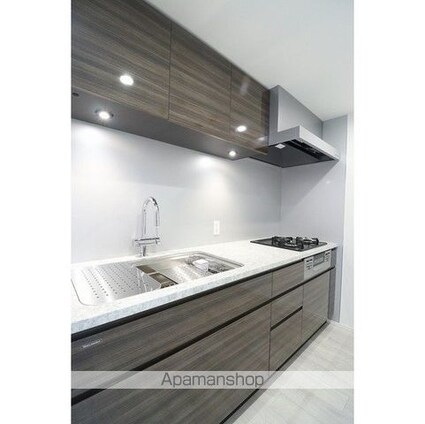 ＯＲＭＥ　ＣＯＵＲＴ　ＮＩＰＰＯＲＩ　ＥＡＳＴ[2LDK/53.33m2]のキッチン