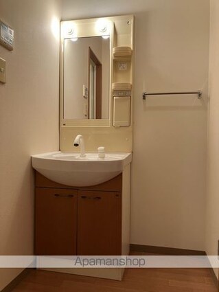 イーストリバー[1K/29.75m2]の洗面所