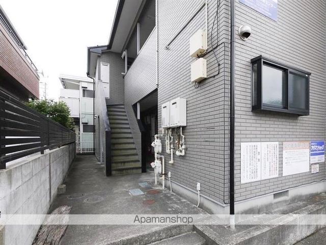 ハイツシマヌキのその他写真