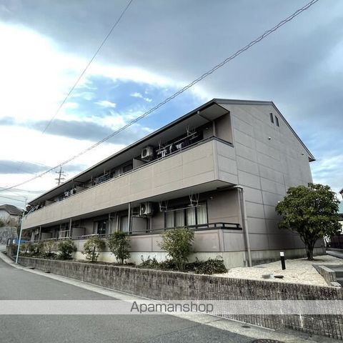 Stella梅森坂