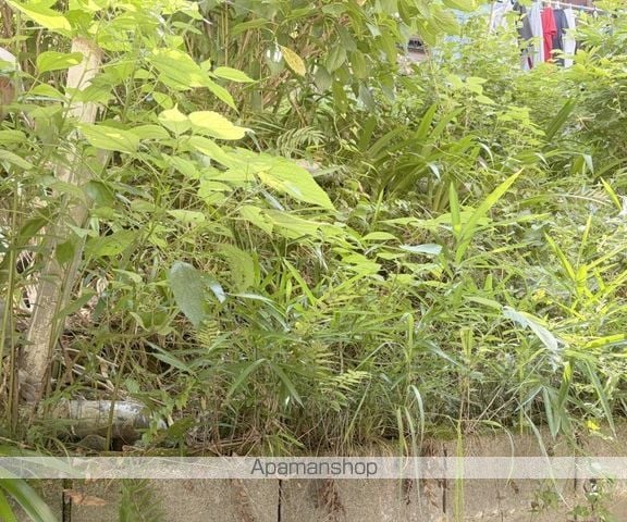 グランプリ山科の内装写真
