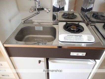 メゾンＧ．ＰＲＯ[1R/18.29m2]のキッチン