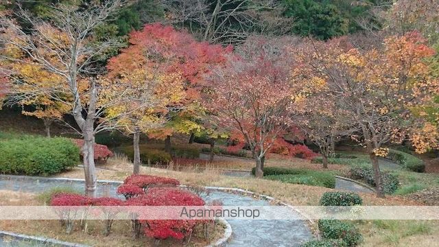 IlPrimoFumoの周辺写真