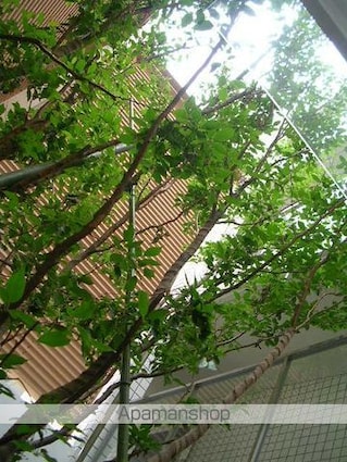 ガーデン用賀[1K/25.06m2]の共用部2