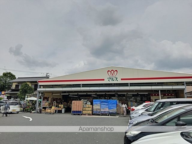 プリムローズの周辺写真