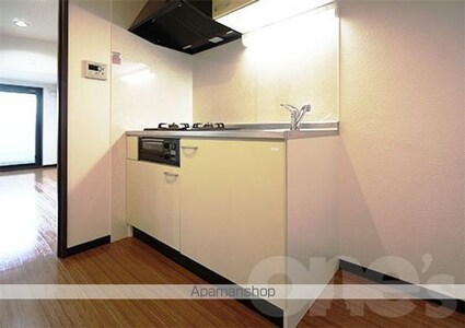 スカイコート葵[1K/29.68m2]のキッチン