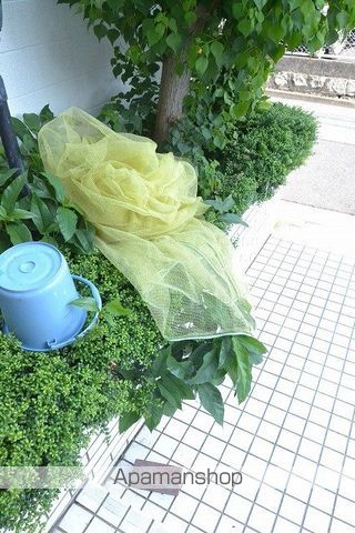 コーポ間のその他写真