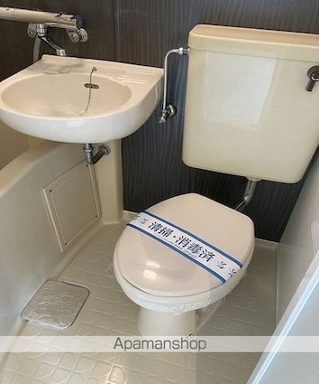 藤島ハイツ[1R/23.4m2]のトイレ