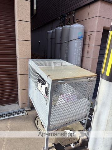 シャイニングスターのその他写真