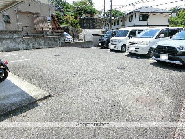 カモマイルのその他写真