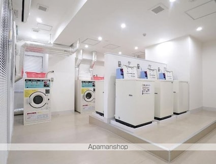 国分寺シティハイツ[1R/16.48m2]の共用部3