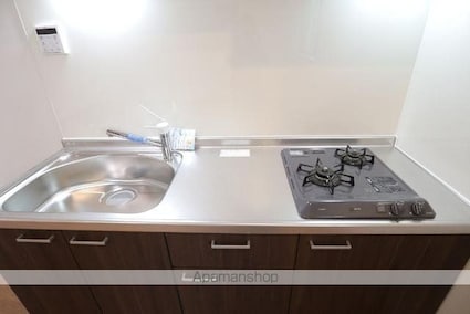 Ｌａ　Ｐｉｅｒｒｅ（ラ　ピエール）[1LDK/48.43m2]のキッチン2