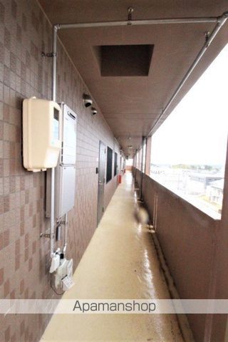 シーダーナインのその他写真