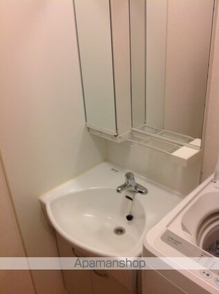 レオネクスト辛島Ⅱ[1K/30.84m2]の洗面所