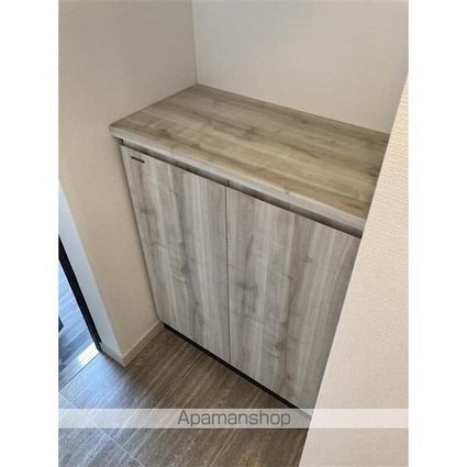 ＳーＲＥＳＩＤＥＮＣＥ金山ａｌｔａｎｏ（アルターノ）[1K/24.07m2]の収納