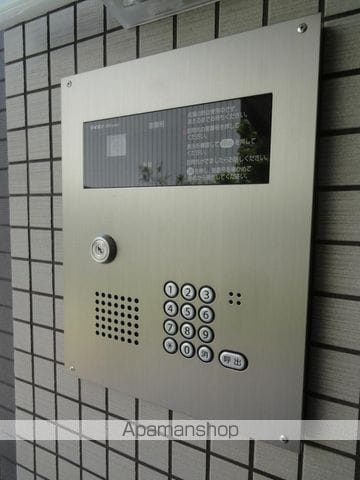 ドルフシィアのその他写真