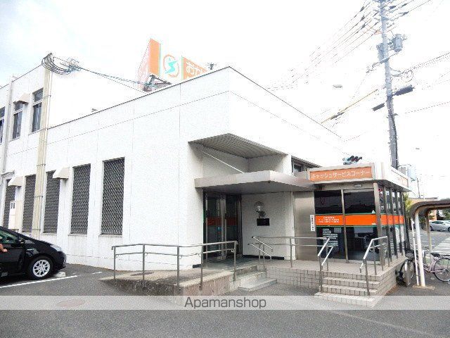 グリーンパキラの周辺写真