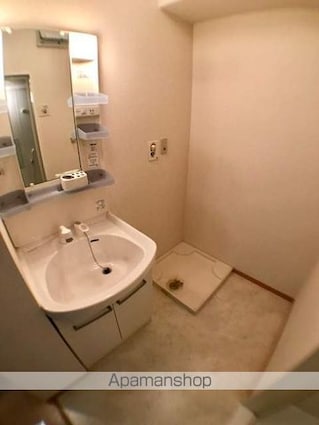 滋賀県蒲生郡日野町大字松尾[1K/30.03m2]の洗面所