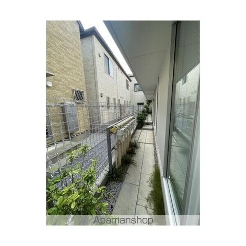 ニシオギソウの周辺写真