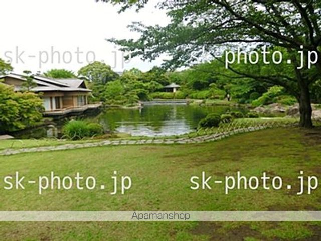 サンフラワー第6の周辺写真