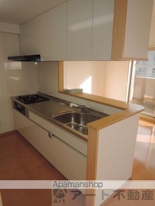 アルカサール道後[3LDK/72.54m2]のキッチン