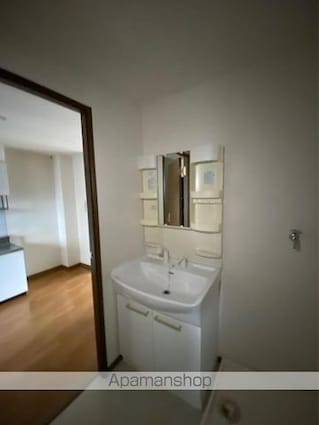 ネスティア太田[2DK/39.74m2]の洗面所