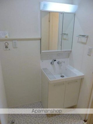 Ｖｉｅｓｅｎ　Ｓｃｈｌｏｓｓ　ヴィーゼン　シュロス[1LDK/35.82m2]の洗面所