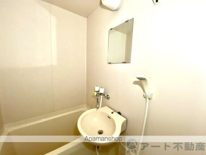 キャッスル和泉[1K/21.6m2]の洗面所