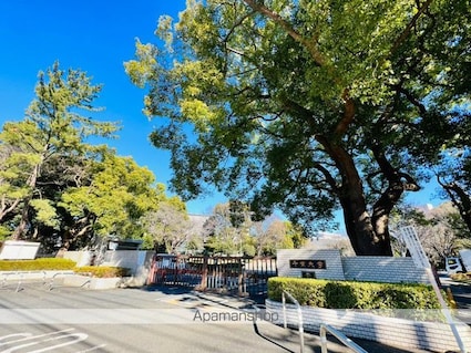 リブリ・パーチェ天台[1K/22.35m2]の周辺2