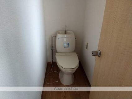 タカギハイツ豊丘[2DK/39.6m2]のトイレ