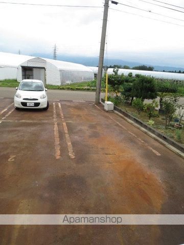 キャンディタフトのその他写真