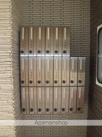 アルストロメリアのその他写真