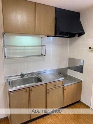 ディアコート加茂　Ａ・Ｂ[2DK/50.12m2]のキッチン