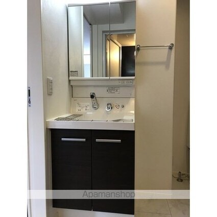 プティ・ピスィーヌ[1LDK/40.75m2]の洗面所