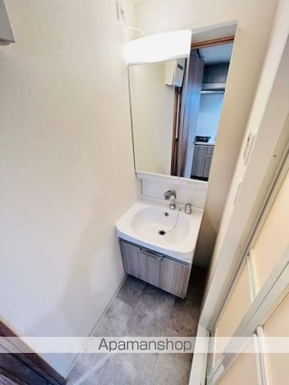 プレサンスブルーム浅草Ｎｏｒｔｈ[1K/25.52m2]の洗面所