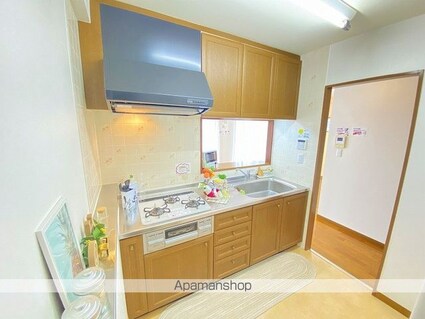 ロイヤル・シャトー一番館[3LDK/66m2]のキッチン