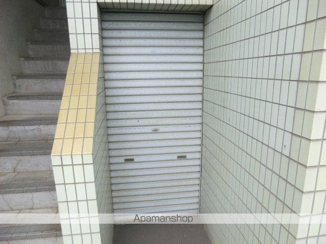 セレナイトのその他写真
