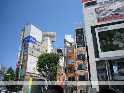 西新宿パークサイドタワー[2LDK/71.97m2]の周辺2