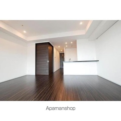 コンフォリア新宿イーストサイドタワー[1LDK/55.47m2]のその他内装2