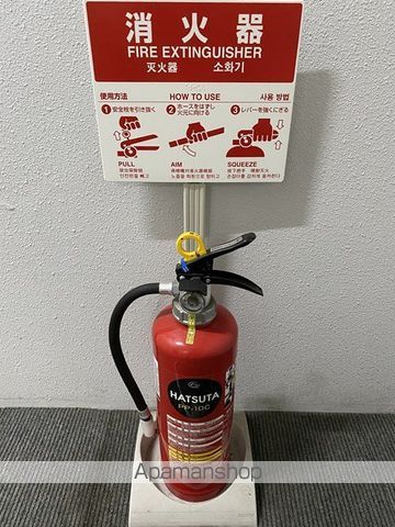 ルーチェのその他写真