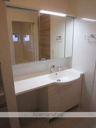 Ｄーｒｏｏｍブランシェ[1LDK/43.88m2]の洗面所