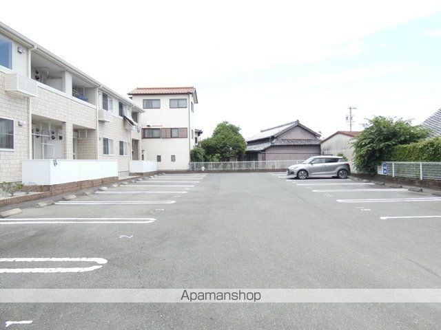 プラタナスのその他写真