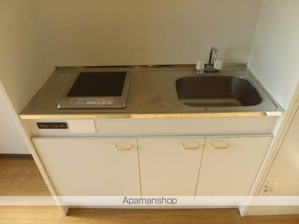 シャインローヤル[1DK/29.45m2]のキッチン