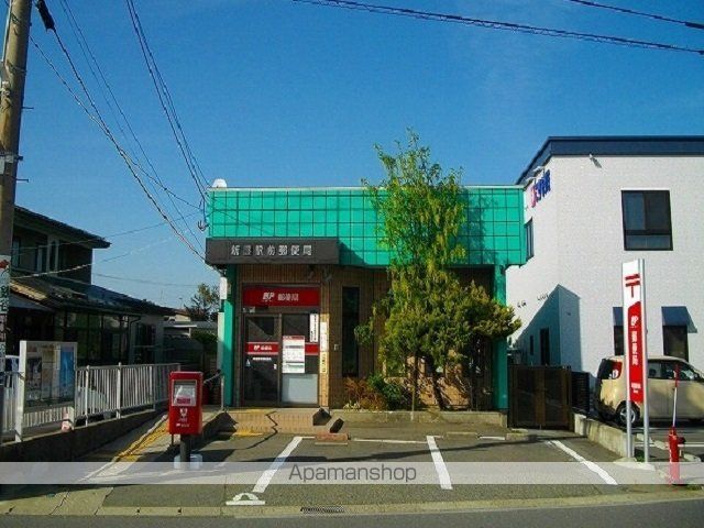 コスモスの周辺写真