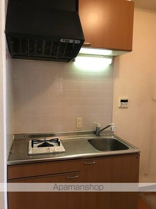 ＰＩＮＩＮ　ＣＡＳＡ[1K/26.05m2]のキッチン