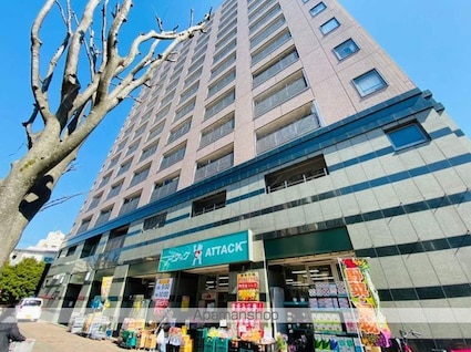 スカイグランデ京成小岩[1LDK/44.28m2]の外観1